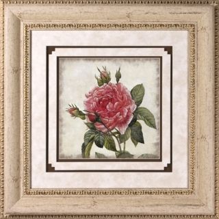 Close Up Rose I Print Under Glass 22" Square Wall Art   #H1925