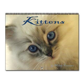 Beautiful Baby Kittens Wall Calendar for 2013