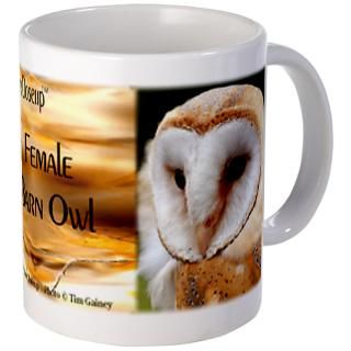 Funky Owl Mugs  Buy Funky Owl Coffee Mugs Online