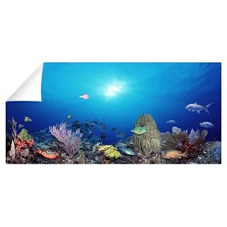 Wall Art  Wall Decals  School of fish swimming in