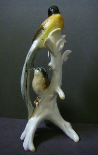 Vintage Karl Ens Porcelain Bird Figure Paradise Whydah