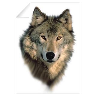 Wall Art  Wall Decals  Wolf Stare Wall Decal