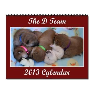 Shiba Gifts  Shiba Calendars  D Team 2013 Shiba Calendar