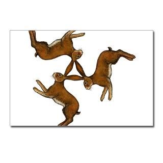 Splitting Hares Postcards (Package of 8) for $9.50