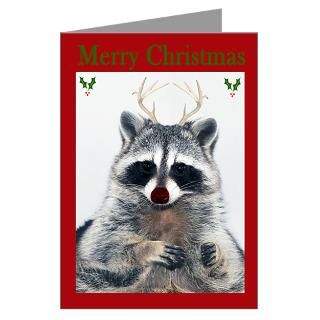 Adorable Greeting Cards  Raccoon Christmas Greeting Cards (Pk of 20