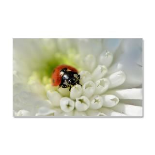 Ladybug Gifts  Ladybug Wall Decals  22x14 Wall Peel