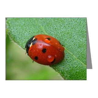 Beetle Stationery  Cards, Invitations, Greeting Cards & More