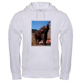 Tiger Paw Hoodies & Hooded Sweatshirts  Buy Tiger Paw Sweatshirts