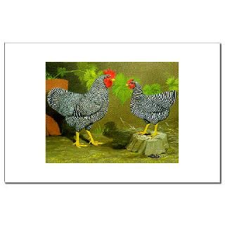 Barred Rock Rooster and Hen : Diane Jacky On Line Catalog