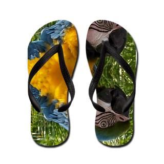 Abstract Gifts  Abstract Bathroom  Parrot Flip Flops