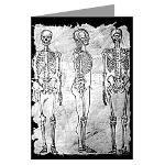Skeleton Sketch  Halloween Gifts and T Shirts   Skulls   Zombies