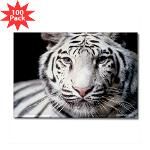 white bengal tiger rectangle magnet 100 pack $ 153 99
