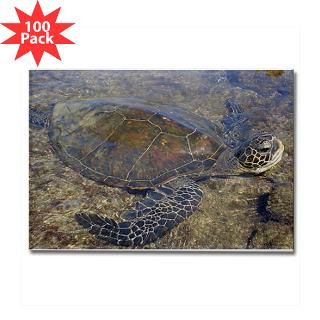 honu sea turtle rectangle magnet 100 pack $ 178 19