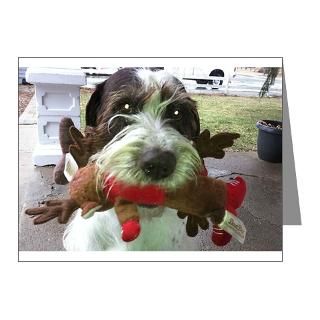 German Wirehaired Pointer Note Cards (Pk of 20) by GWPRescue