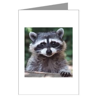 cat a two raccoons Greeting Cards (Pk of 10)