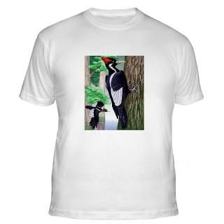 Ivory Billed Woodpecker T Shirts  Ivory Billed Woodpecker Shirts