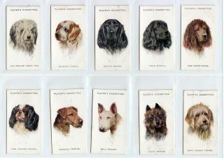 Complete Set of 50 Dog Painting Cards from 1929