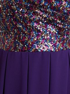 tfnc Multi sequin fit and flare dress Purple   