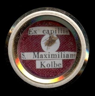 Relic Theca Document of s Maximiliani M Kolbe