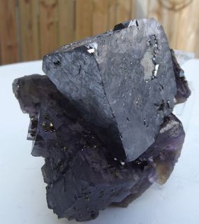 Silvery Galena on Purple Fluorite from the Hill Ledford Mine Illinois