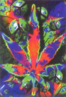 Psycho Leaf Poster Flag Psychedelic Peace Logo New