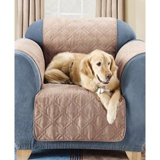 Sure Fit Slipcovers, Pet Furniture Throws   Slipcovers   for the home