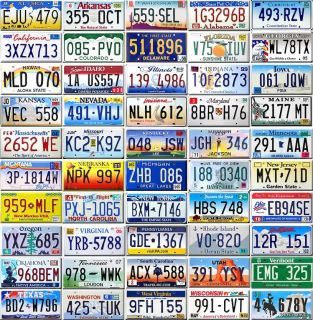 SET OF ALL 50 UNITED STATES LICENSE PLATES ~ USA LOT CAR NUMBER TAG