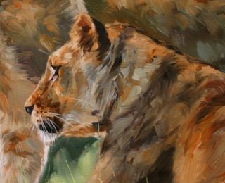 Pair of Lions Superb David Stribbling Oil Painting