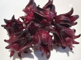 Hibiscus Sabdriffa Roselle WOW Fresh Seeds P0070
