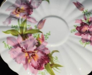 Shelley Ludlow Ribbed Plum Orchid Tea Cup and Saucer