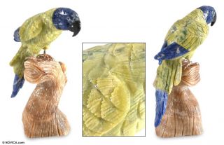 Macaw Sodalite Serpentine Bird Sculpture Gemstone Art