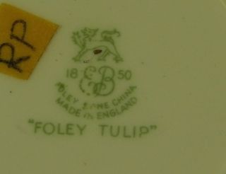 Foley Teacup Saucer Foley Tulip Pink Tea Cup