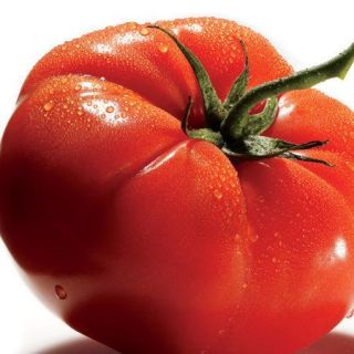 Tomato Mary Italian Seeds V 282