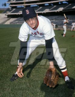 Baseball Original Color Negative Dick McAuliffe Boston Red Sox