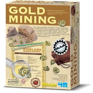 Toysmith 4M 3559 Gold Mining Kit New