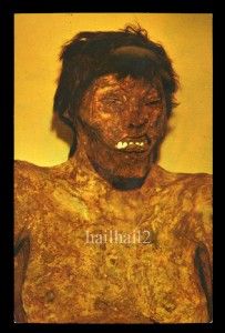 Mesa Verde Indian Mummy Esther Vintage Postcard