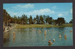 FL Mineral Springs South of Venice Florida Postcard PC