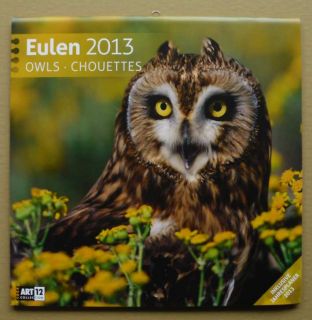 Eulen Owls 30x60cm WandKalender 2013 NEU OVP Kalender AK