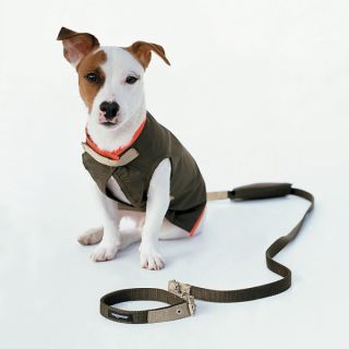 Wagwear Nylon Dog Rain Vest   Clothing & Accessories   Dog
