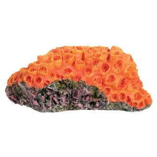 Top Fin Coral Orange Brain   Decorations   Fish