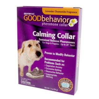 Dog Anxiety and Dog Stress Solutions