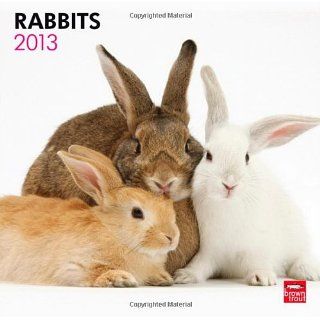 Rabbits 2013   Kaninchen   Original BrownTrout Kalender 