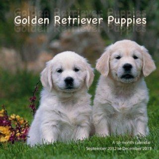   Golden Retriever Puppies 2013 Kalender Magnum Bücher