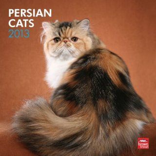 Persian Cats 2013   Perserkatzen   Original BrownTrout Kalender