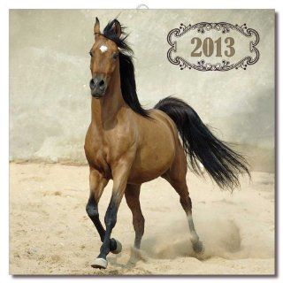 Pferde Rassen   Tier Kalender für das Jahr 2013   Grösse 30x30 cm