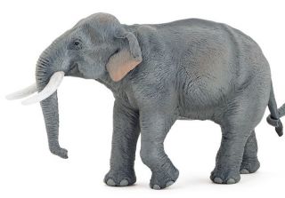 Asiatischer Elefant Wildtiere Papo ® Figuren Nr. 50131