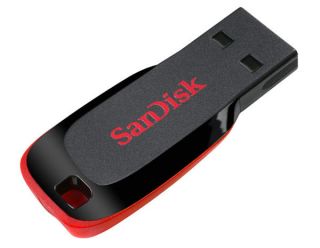 SanDisk Cruzer Blade 16GB USB Stick: Computer & Zubehör