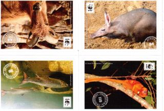 EDEKA Tier Sticker   Mit 180 Stickern um die Welt   WWF