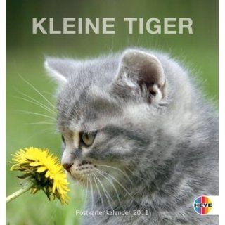 Kleine Tiger 2011. Postkartenkalender Heye Bücher