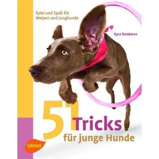 51 Tricks für junge Hunde Spiel und Spaß für Welpen und Junghunde
